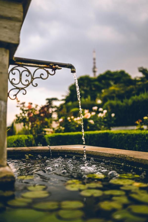 The View Boutique Hotel Johannesburg Bagian luar foto